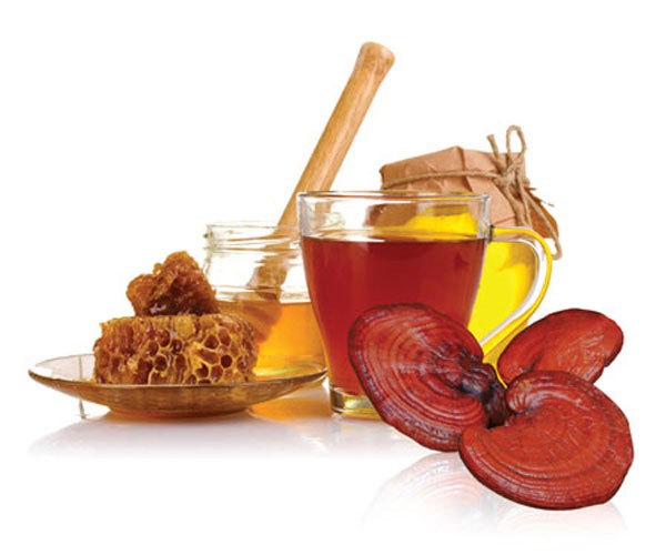 3 cách pha trà nấm linh chi hỗ trợ thải độc gan, tăng cường sức khỏe